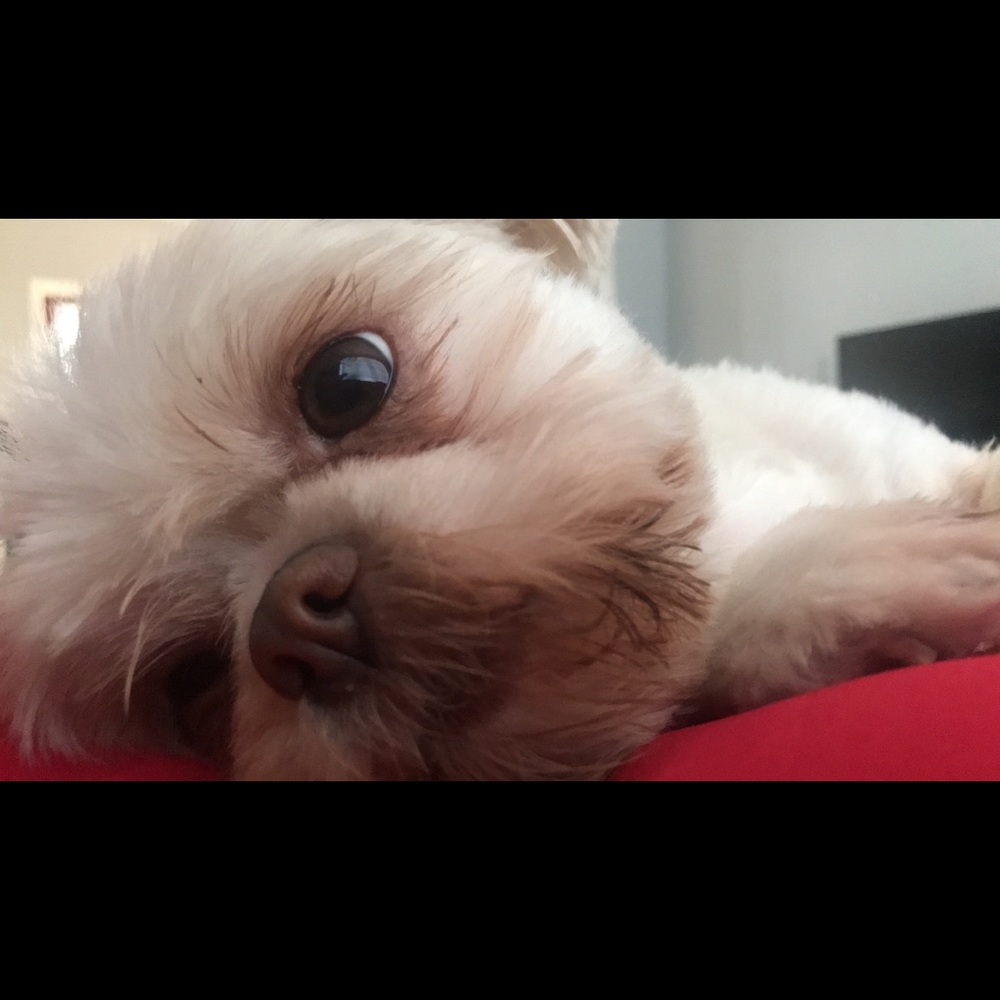 Meet your Posher, Marilyn